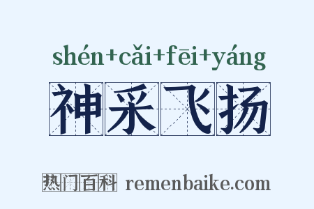 神采飞扬是什么意思的图片